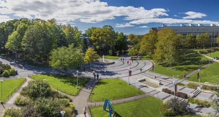 Stony Brook University: A Quick Review